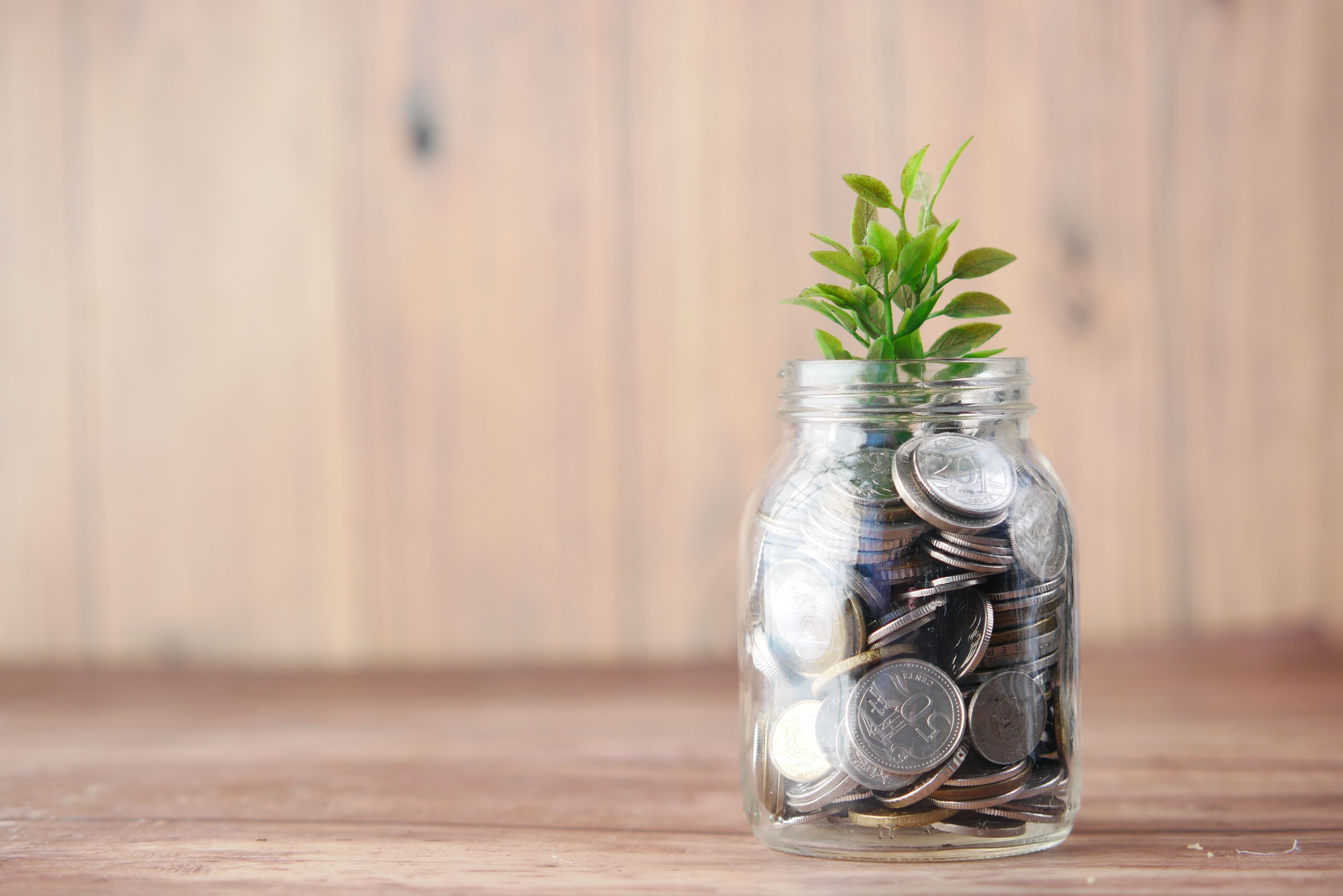Coins in a jar with a plant growing from it, representing savings growth